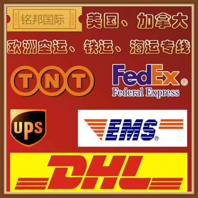 深圳國際貨運(yùn)代理行業(yè)深度解析 企業(yè)名錄與軟件服務(wù)賦能物流升級(jí)